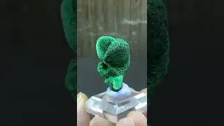 #Malachite #minerals #crystals #gems #specimen #geology #rocks #stone #Collector #museum