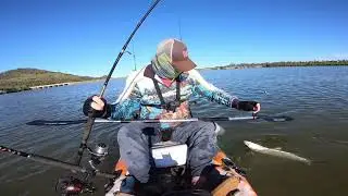 Looking at running the 2nd cam - Giant herring