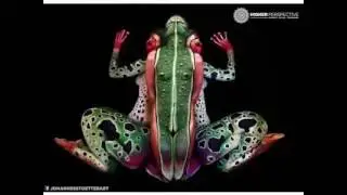 Creative body art