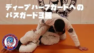 ディープハーフガードへのパスガード３種