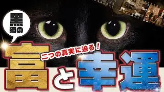 黒猫の富と幸運