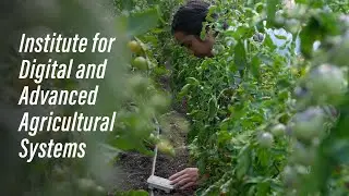 Institute for Digital and Agricultural Systems