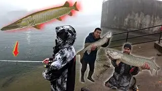 Shelbyville Musky Fishing Christmas Day 2025