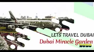 DUBAI MIRACLE GARDEN 2020