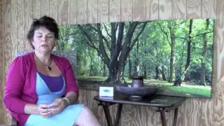 time management and planning #2: DENTAL BUSINESS COACH: HOW TO RUN A SUCCESSFUL DENTAL PRACTICE
