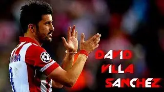 David Villa S&aacute;nchez | Amazing Goals | (HD)
