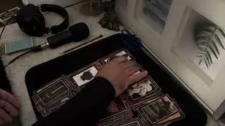 GEMEOS  - O GUM ESTÁ ABRINDO OS SEUS CAMINHOS - UMA NOVA CASA TE ESPERA!