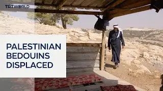 Families forcibly displaced from a Bedouin village in Palestine