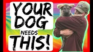 Change Dog behavior while training with the Break command - Dog Training with America's Canine Ed