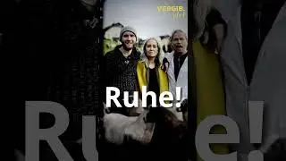 Stille Retreat Teaser 4 #einkursinwundern #retreat #ekiw #stille #silence