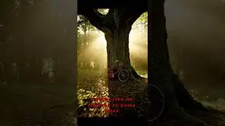 I Saw Something Strange in the Woods Behind My House