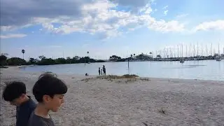 Ben T Davis Beach On Davis Island 🏝️🌊