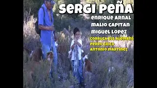 podencos cazando a diente en Alfara de Algimia