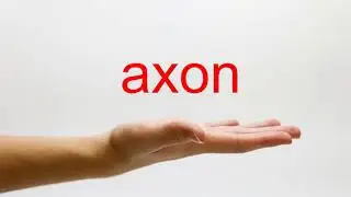 How to Pronounce axon - American English