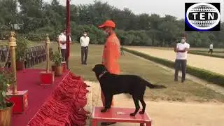 Indian breed dogs are now also being trained by NDRF as a part of the Force's dog squad