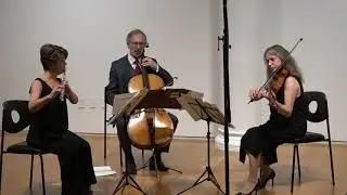 Eight Strings & a Whistle: Reverse Variations on Arkansas Traveler (with Jokes!) - Douglas Anderson