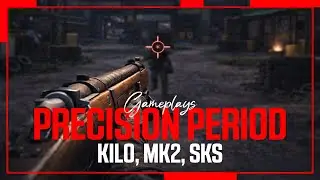 Marksman rifles &ndash; Precision Period