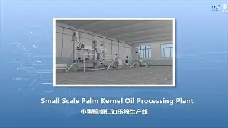 Modern Palm Kernel Oil Extraction Processing Plant | How Palm Kernel Oil Extractors Work