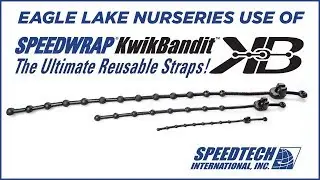 Kwik Bandit