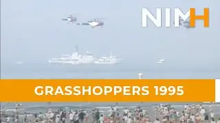 Grasshoppers 1995