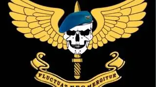 Boina Azul Policia Aérea