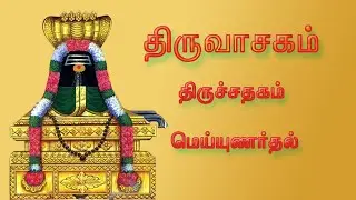 மாணிக்கவாசகர் திருவாசகம் |  திருச்சதகம் - மெய்யுணர்தல்