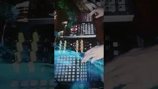 🌊ableton➡️404➡️303🌊.....#lofihiphop