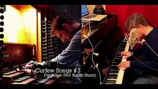 Fieldt - Curfew Songs - #3 Field (feat. Prof. Ruben Sturm)