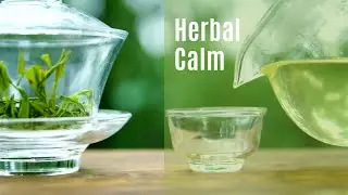Herbal Calm 🌿 Evening Tea Ritual & Ambient Music for Sleep, Study, Meditation (Live)
