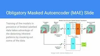 FOSS4G 2025 | GeoFM with OpenDataCube - From arrays to embeddings