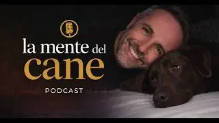 Ep.09 il cervello del cane: cosa sappiamo davvero