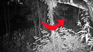 Ghosts Caught On Camera in Malaysia Jungle With Night Vision Paranormal Videos