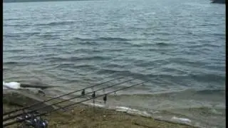 In Pursuit of the Largest DVD clip