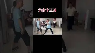 New Perspectives on Martial Arts - Offline Training of the Thirteen Swords of Liuhe.#Six