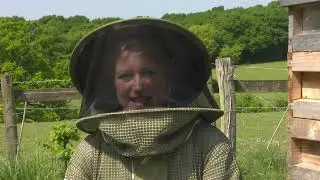 People are urged to report sightings of invasive Asian Hornets