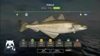 SC Gaming - Fishing at Norwegian Sea🌊 (Gameplay)