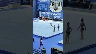 Treino aberto CAMPEONATO BRASILEIRO DE GIN&Aacute;STICA ART&Iacute;STICA 2025 🤸🏽💪🏽