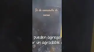 Te de cascarilla de cacao