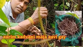 #Aarim kadva ni maja aavi gay ak toplo aarim kadi #jitudhodi@Gujjardangicomedy