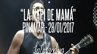DIVIDIDOS - La Ñapi de Mamá. Pinamar 28/01/2017