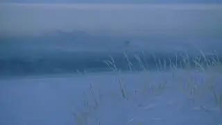 千の風になって  A Thousand Winds  千风      천의 바람이 되어 【Chromatic Harmonica】