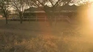 Tanzania Bush Camps