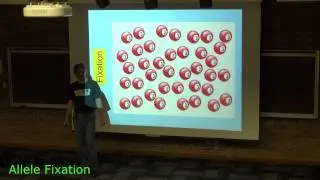 Allele Fixation