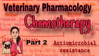 Antimicrobial Resistance Explained | Veterinary Pharmacology | BVSc 3rd Year