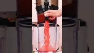 🍉 Watermelon Mint Cooler | Made in the AUTO10 Juicer 🌿