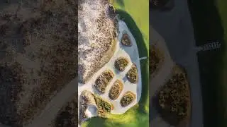 The sand and natural areas of the Ocean Course.@Kiawah Island Golf Resort #golf #lowcountry