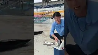 Why Did This Dolphin Reject the Fish? 🐬😲 #shorts