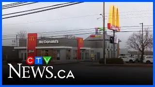 Four people arrested after gun fired in Cape Breton
