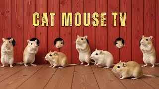 Cat TV 🐾 Mice Hide & Seek | Ultimate Gerbil Climbing Show for Cats to Watch | 8 Hours 4K