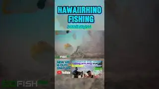 PUHI SLAYER! 😵&zwj;💫 #fishing #fishingmethods #fishinghawaii